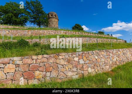 Weingut im Goldenen Wagen. Der Bismarckturm in Radebeul, auch bekannt als Bismarcksäule, ist einer von rund 145 Bismarcktürmen, die noch heute in Radebeul sind Stockfoto