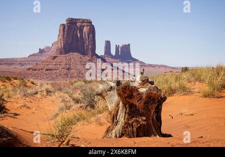 Große Butte- und Turmformationen vom Talboden im Monument Valley, Arizona, USA am 21. April 2024 Stockfoto