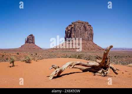 East Mitten und Merrick Buttes vom Talboden in Monument Valley, Arizona, USA am 21. April 2024 Stockfoto