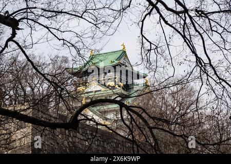 Der Pflaumenhain in der Blüte des Schlosses Osaka, Japan Stockfoto