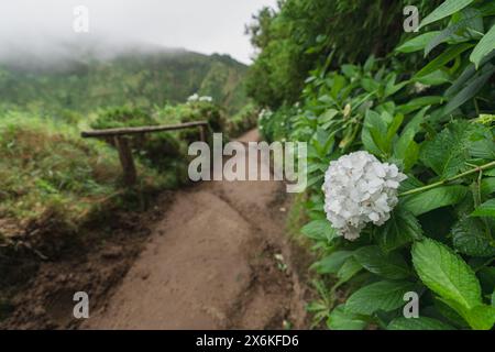 Der Wanderweg hinauf zum Miradouro da Boca do Inferno auf Sao Miguel, Azoren. Stockfoto