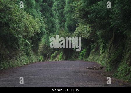Der Weg zum Miradouro da Boca do Inferno auf Sao Miguel, Azoren. Stockfoto