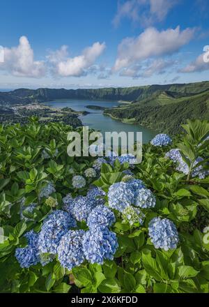 Blick vom Miradouro da Vista do Rei auf die Kraterseen Lagoa Azul und Lagoa Verde mit Hortensien im Vordergrund auf der Azoren Insel Sao M Stockfoto