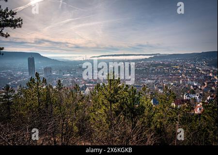 Blick auf die Stadt Jena mit dem Jentower (Uniturm) und dem Kernberg im Hintergrund, bei niedrigem Nebel am Morgen, Jena, Thüringen, Deutschland Stockfoto