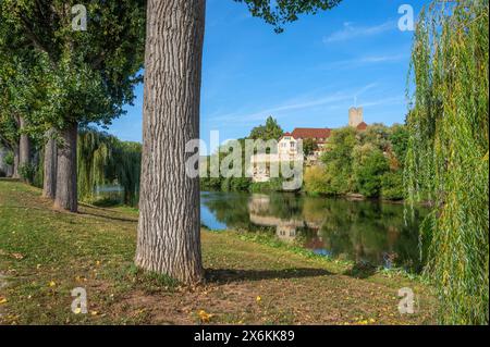 Historisches Rathaus Lauffen am Neckar, Neckartal, Neckar, württembergische Weinstraße, Baden-Württemberg, Deutschland Stockfoto