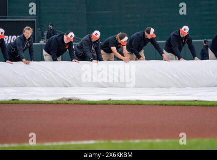 Baltimore, USA. Mai 2024. BALTIMORE, MD – 15. MAI: Die Crew des Grounds rollt die Plane vor einem MLB-Spiel zwischen den Baltimore Orioles und den Toronto Blue Jays am 15. Mai 2024 im Orioles Park at Camden Yards in Baltimore, Maryland. (Foto: Tony Quinn/SipaUSA) Credit: SIPA USA/Alamy Live News Stockfoto