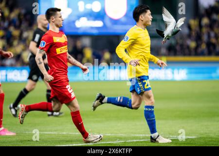 Dänemark. Mai 2024. Broendby IF ist Yuito Suzuki und Oliver Villadsen des FC Nordsjaelland während des 3F Superliga-Spiels zwischen Broendby IF und FC Nordsjaelland im Broendby Stadium in Broendby, Mittwoch, den 15. Mai 2024. (Foto: Mads Claus Rasmussen/Ritzau Scanpix) Credit: Ritzau/Alamy Live News Stockfoto