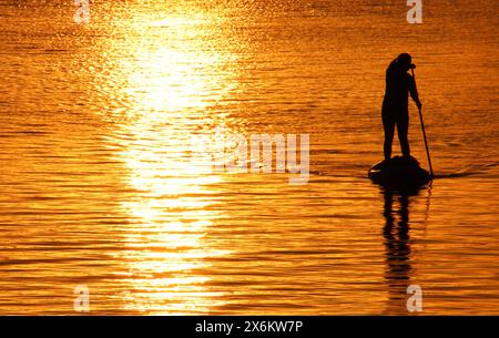 Eine Stand-up-Paddlerin genießt auf der Außenalster in Hamburg den Sonnenuntergang. *** Ein Stand-up-Paddler genießt den Sonnenuntergang auf der Hamburger Außenalster Stockfoto