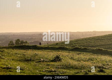 Mittwoch, 15. Mai 2024: Wittenham Clumps, nahe Didcot, Oxfordshire. Stockfoto