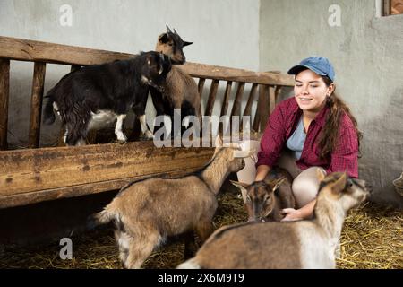 Junge Landarbeiter, die sich um Ziegenbabys kümmern Stockfoto