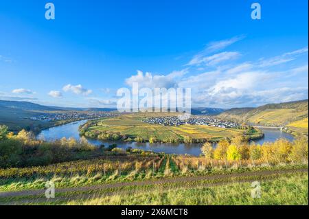 Moselschleife bei Trittenheim, Mosel, Mosltal, Hunsrück, Eifel, Rheinland-Pfalz, Deutschland Stockfoto