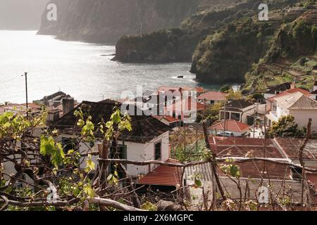 Madeira - Blick über die Weinberge zu einem Dorf an der Küste Stockfoto