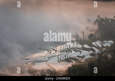 Sonnenaufgang über Reisterrassen von YuanYang in Yunnan, China, eines der jüngsten UNESCO-Welterbestätten Stockfoto