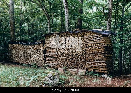 Brennholz für den Winter vorbereitet und zum Trocknen im Wald gestapelt Stockfoto