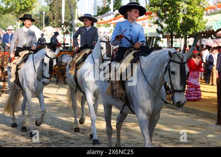 Flamenco, Abril Fair, Aprilmesse, Pferd, Sevilla, Reiter, Reiterin, Andalusien, Spanien, Beauty, Feria de Abril in Sevilla Stockfoto