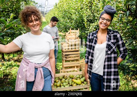 Porträt von drei Junglandwirten in Birnenplantagen. Stockfoto