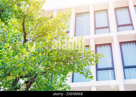 Grünes Öko-Gebäude, Gartenparkbaum rund um das Bürohotel im Freien, Leben mit der Natur, um Energie und Kühlung zu sparen. Stockfoto