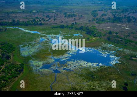 Okavango Lake. Reisen Sie in Botswana. Afrika Luftlandschaft, grüner Fluss, Okavango-Delta in Botswana. Seen und Flüsse, Blick aus dem Flugzeug. Wald. Gemüse Stockfoto