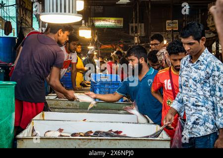 In Jatrabari, Dhaka, Bangladesch, sind die Händler mit Aktivitäten beschäftigt und verkaufen am frühen Morgen Fisch auf dem geschäftigen Fischgroßmarkt. Dieses Bild war Cap Stockfoto