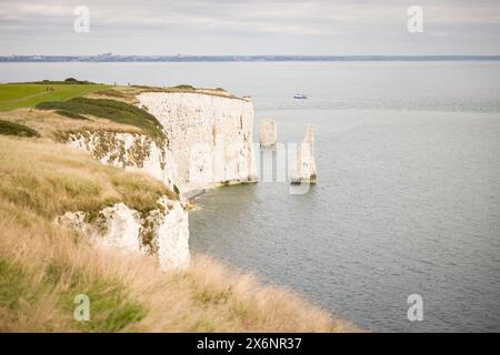 Die Pinnacles, Der Alte Harry Rocks. Das Meer stapelt sich vor der Jurassic Coast, UNESCO-Weltkulturerbe in Dorset, Großbritannien Stockfoto