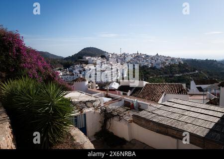 Blick auf weiß getünchte Häuser und gekachelte Dächer an einem Berghang im Dorf Frigiliana in Andalusien, Südspanien. Stockfoto