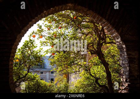 Detail des gewölbten Puerto del Christo, das Tor Christi, in der Alcazaba Festung von Malaga, Andalusien in Südspanien. Stockfoto