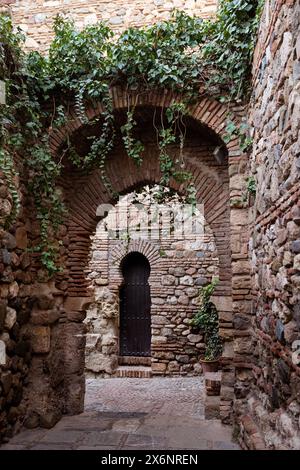 Bogengänge aus Ziegeln und Stein und hängende Efeupflanzen in der Festung Alcazaba in Malaga, Andalusien in Südspanien. Stockfoto