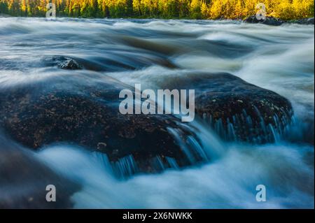 Ein friedlicher Abend in Norwegen fängt den dynamischen Fluss ein, umgeben von lebendigem Laub. Das Wasser rauscht über große Felsen in der Nähe des Waldes Stockfoto