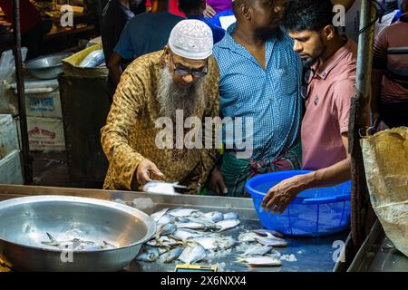 In Jatrabari, Dhaka, Bangladesch, sind die Händler mit Aktivitäten beschäftigt und verkaufen am frühen Morgen Fisch auf dem geschäftigen Fischgroßmarkt. Dieses Bild war Cap Stockfoto