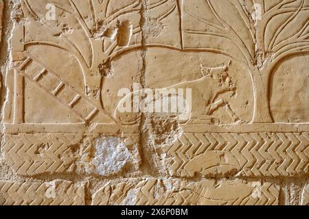 Punt Reliefs im Tempel der Hatschepsut in Deir el Bahari, Westbank, Luxor Ägypten Stockfoto