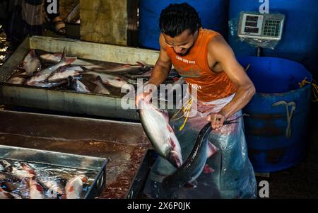 In Jatrabari, Dhaka, Bangladesch, sind die Händler mit Aktivitäten beschäftigt und verkaufen am frühen Morgen Fisch auf dem geschäftigen Fischgroßmarkt. Dieses Bild war Cap Stockfoto