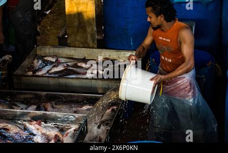 In Jatrabari, Dhaka, Bangladesch, sind die Händler mit Aktivitäten beschäftigt und verkaufen am frühen Morgen Fisch auf dem geschäftigen Fischgroßmarkt. Dieses Bild war Cap Stockfoto