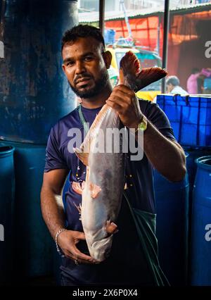 In Jatrabari, Dhaka, Bangladesch, sind die Händler mit Aktivitäten beschäftigt und verkaufen am frühen Morgen Fisch auf dem geschäftigen Fischgroßmarkt. Dieses Bild war Cap Stockfoto