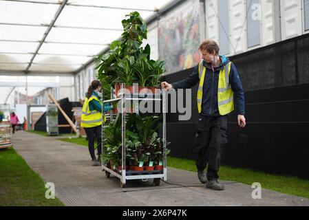 Die Vorbereitungen laufen vor der RHS Chelsea Flower Show im Royal Hospital Chelsea, London. Bilddatum: Donnerstag, 16. Mai 2024. Stockfoto