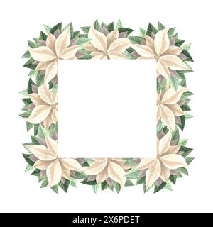 Weihnachtsstern mit Blättern. Weihnachtsrahmen quadratisch, Vintage. Handgezeichnete Aquarellillustration traditionelle Pflanzen für den Winterhintergrund. Isoliert Stockfoto