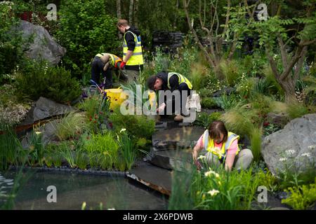 Die Vorbereitungen laufen vor der RHS Chelsea Flower Show im Royal Hospital Chelsea, London. Bilddatum: Donnerstag, 16. Mai 2024. Stockfoto