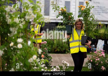 Die Vorbereitungen laufen vor der RHS Chelsea Flower Show im Royal Hospital Chelsea, London. Bilddatum: Donnerstag, 16. Mai 2024. Stockfoto