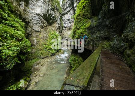 Garganta de Kakueta, Sainte-Enak<unk>, región de Aquitania, departamento de Pirineos Atlánticos, Francia. Stockfoto