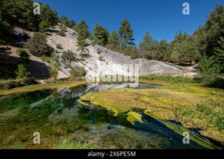 Naturdenkmal La Fuentona, Quelle des Flusses Abión, Muriel de la Fuente, Soria, Autonome Gemeinschaft Kastilien, Spanien, Europa. Stockfoto
