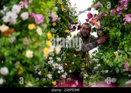 Die Vorbereitungen laufen vor der RHS Chelsea Flower Show im Royal Hospital Chelsea, London. Bilddatum: Donnerstag, 16. Mai 2024. Stockfoto