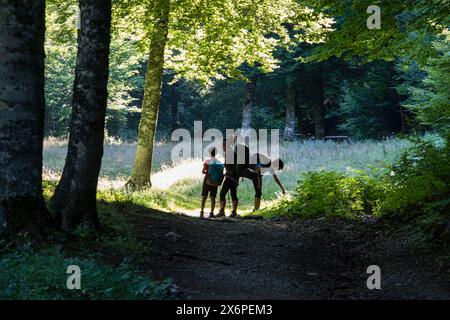 Niños cruzando El Bosque de Linza, Ruta de Las Golondrinas, Barranco de Petrechema, pirineos, occidentales, Huesca, Aragón, Spanien, Europa. Stockfoto