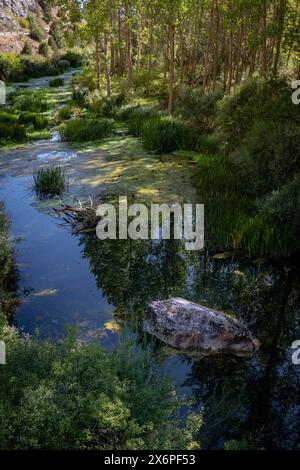 Geburt des Flusses Ucero, Parque Natural del Cañón del Río Lobos, Soria, Comunidad Autónoma de Castilla, Spanien, Europa. Stockfoto