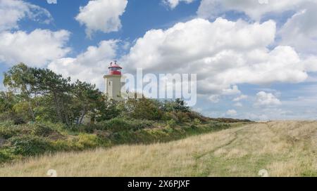 Leuchtturm von westermarkelsdorf auf Fehmarn, Ostsee, Schleswig-Holstein, Deutschland Stockfoto