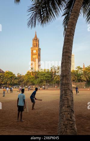 Cricket am Abend unter einer Palme im Oval Maidan mit dem Rajabai Clock Tower dahinter, Mumbai, Maharashtra State, Indien Stockfoto