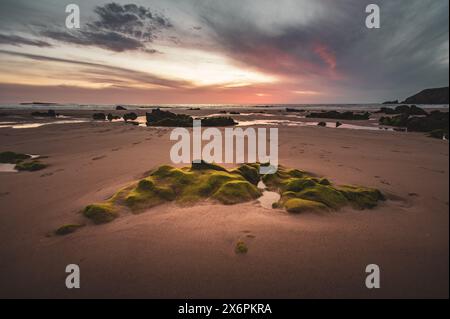 Der Praia do Amado in der Nähe des Westküstenortes Carrapateira zwischen Vila do Bispo und Aljzeur besteht aus einer weiten Bucht mit feinem Sand, mit kleineren bis mittleren Felsformationen. Algarve, Portugal, am 07.05.2024. // der Praia do Amado in der Nähe der Westküstenstadt Carrapateira zwischen Vila do Bispo und Aljzeur besteht aus einer breiten Bucht mit feinem Sand, mit kleinen bis mittleren Felsformationen. Algarve, Portugal am 7. Mai 2024. - 20240507 PD20280 Stockfoto