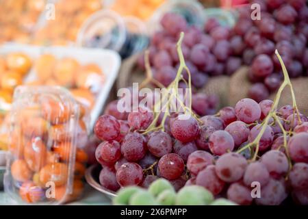 Bazaar, der Sommerfrüchte im Geschäft verkauft, bietet viele Obstsorten und eine abwechslungsreiche Auswahl Stockfoto