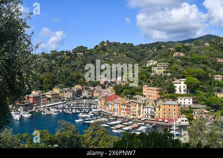 Erhöhter Blick auf den 'Porticciolo', den kleinen Hafen von Portofino, mit den typischen farbigen Häusern im Sommer, Genua, Ligurien, Italien Stockfoto