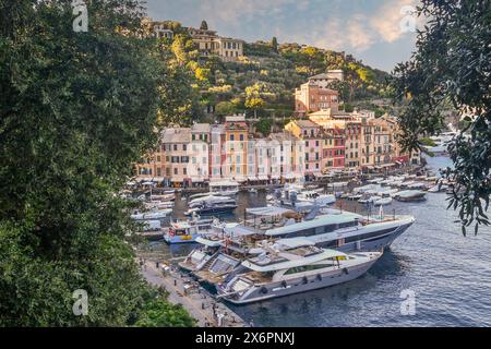 Erhöhter Blick auf den 'Porticciolo', den kleinen Hafen von Portofino, mit den typischen farbigen Häusern im Sommer bei Sonnenuntergang, Genua, Ligurien, Italien Stockfoto