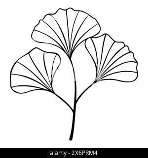 Ginkgo biloba-Ast mit Blättern handgezeichnete Konturlinie. Minimalistischer Stil. Für die Gestaltung von Logos, Einladungen, Postkarten, Drucken auf T-Shirts. Vektorabbildung Stock Vektor