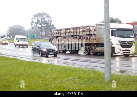 16. Mai 2024, Passo Fundo, Rio Grande do Sul, Brasilien: Passo Fundo (RS), 05/16/2024 - TRANSPORT/LIVE CARGO/CLIMATE/COLD/PASSO FUNDO/RS - LKW transportiert Lebendladung von Schweinen an einem regnerischen Tag, in der Gemeinde Passo Fundo in Rio Grande do Sul, diesen Donnerstag (16). (Foto: Rafael Dalbosco/Thenews2/Zumapress) (Foto: © Rafael Dalbosco/TheNEWS2 via ZUMA Press Wire) NUR REDAKTIONELLE VERWENDUNG! Nicht für kommerzielle ZWECKE! Stockfoto